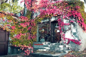 廣州至長(cháng)沙高鐵旅游攻略(廣州至長(cháng)沙高鐵旅游攻略路線(xiàn))