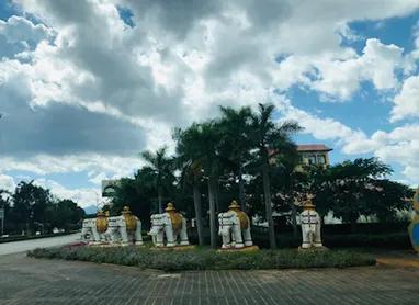 可以分享一些你親手拍攝的自然美景高清原圖并說(shuō)說(shuō)你是如何拍攝的嗎？