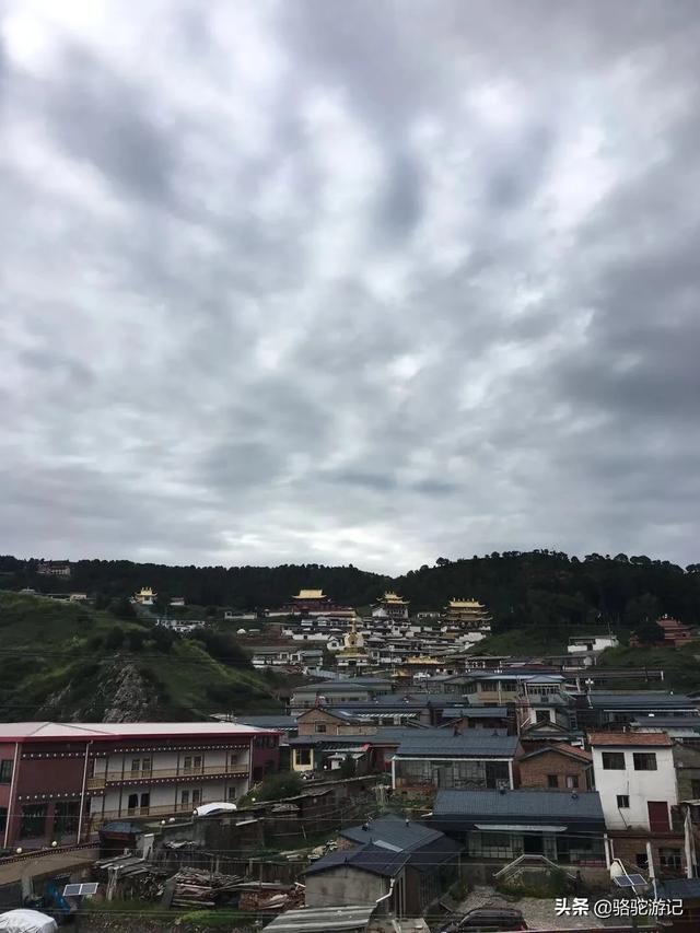 國內八月份旅游七至十天有什么好的推薦？
